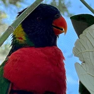 Meet your Posher, Yadira